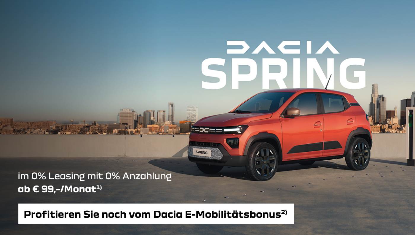 lps_dacia_spring_leasing6