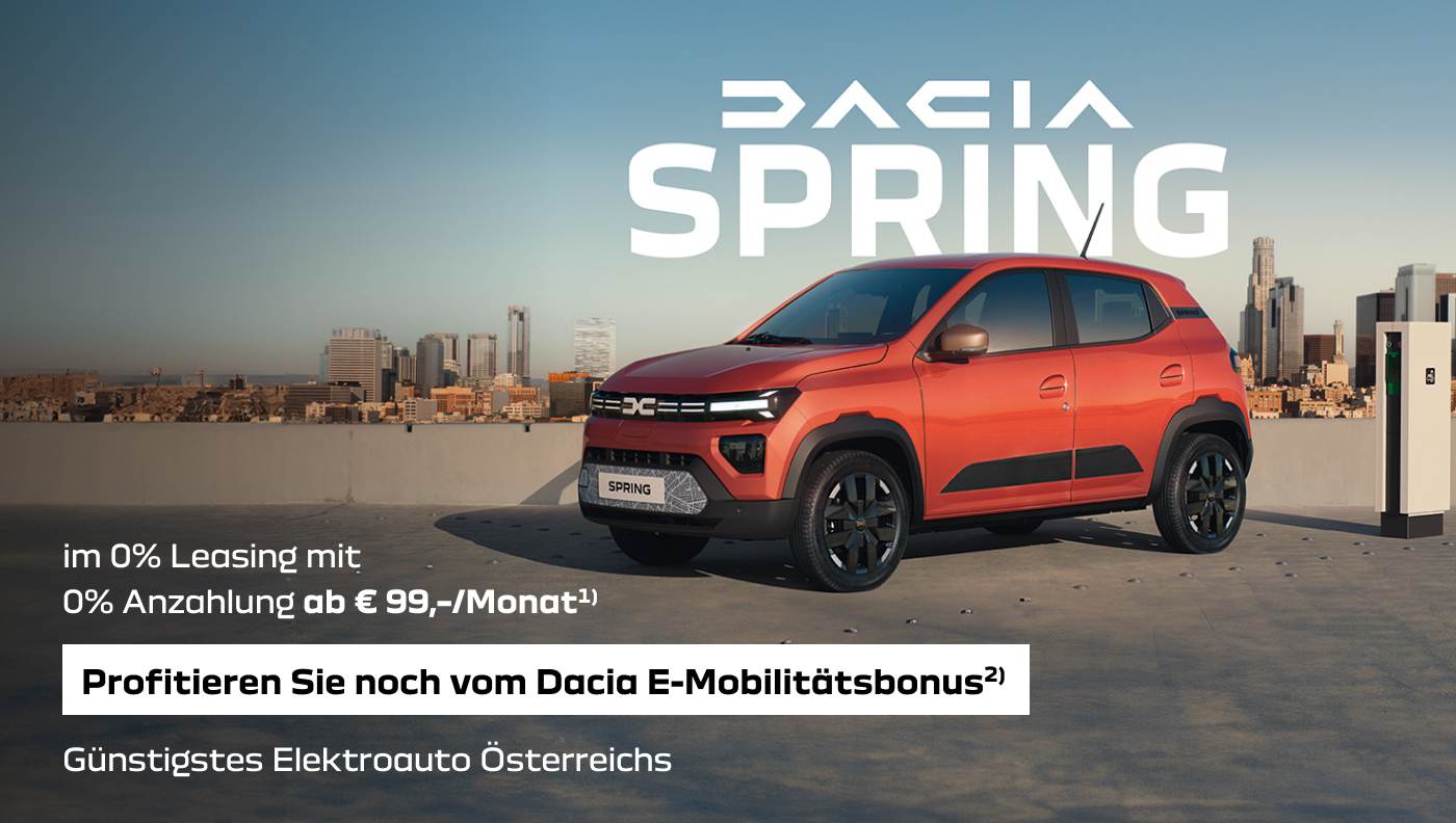 lps_dacia_spring_leasing8