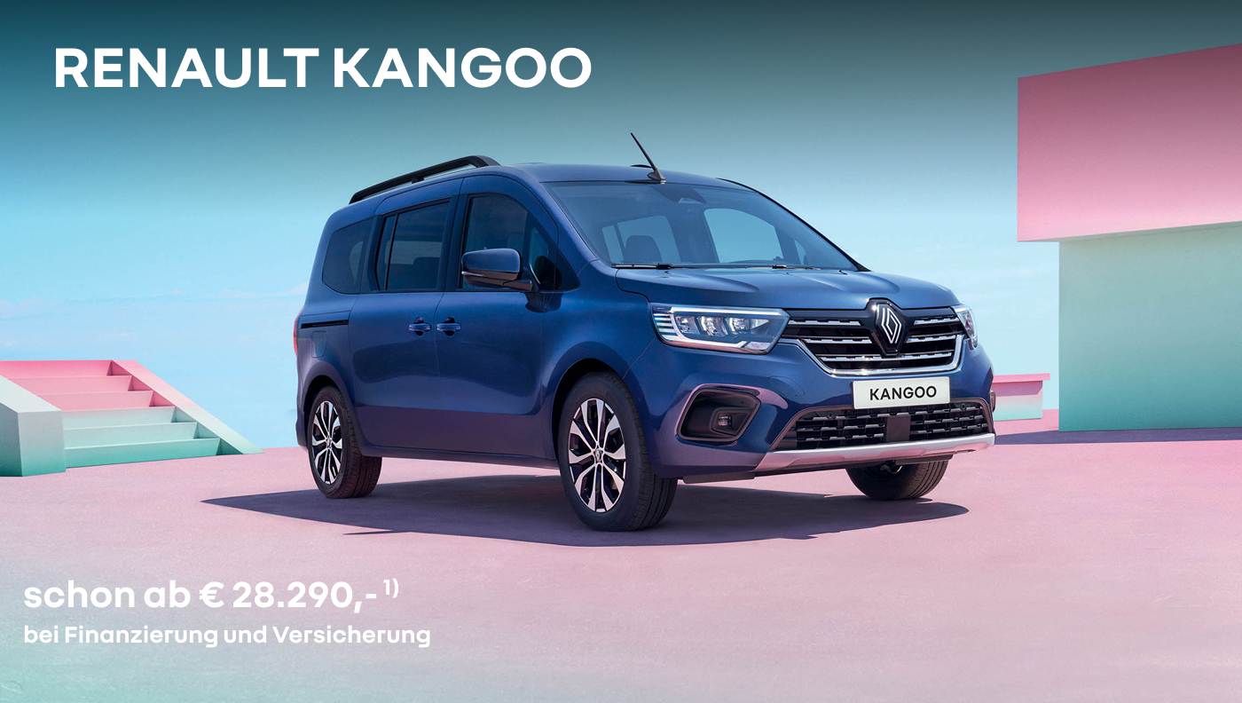 lps_renault_kangoo29